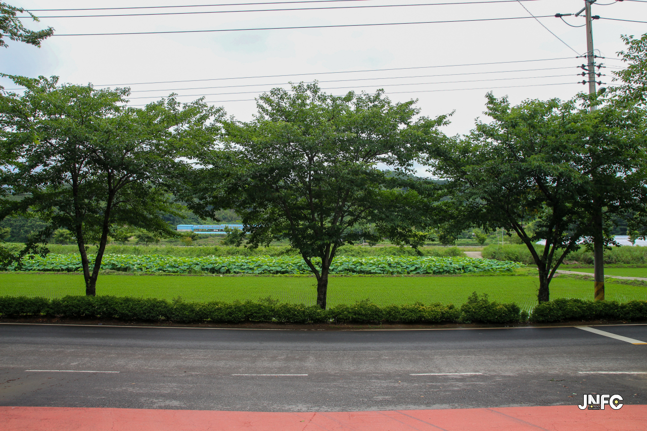 jnfc_5653_131107.jpg