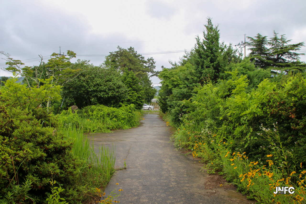jnfc_5654_131140.jpg