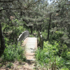 jnfc_5671_111649.jpg