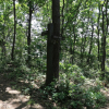 jnfc_5671_111652.jpg