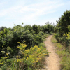 jnfc_5671_111656.jpg