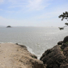 jnfc_5671_111658.jpg