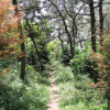 jnfc_5671_111663.jpg