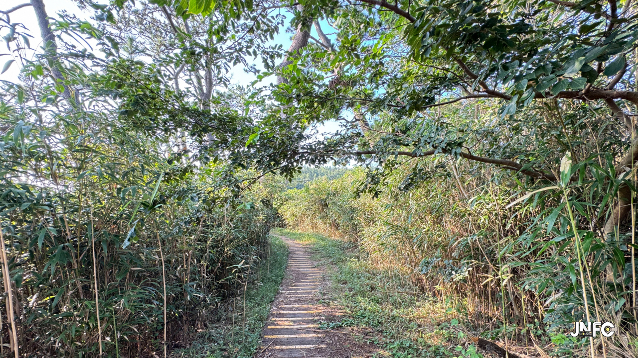 jnfc_5672_134719.jpg