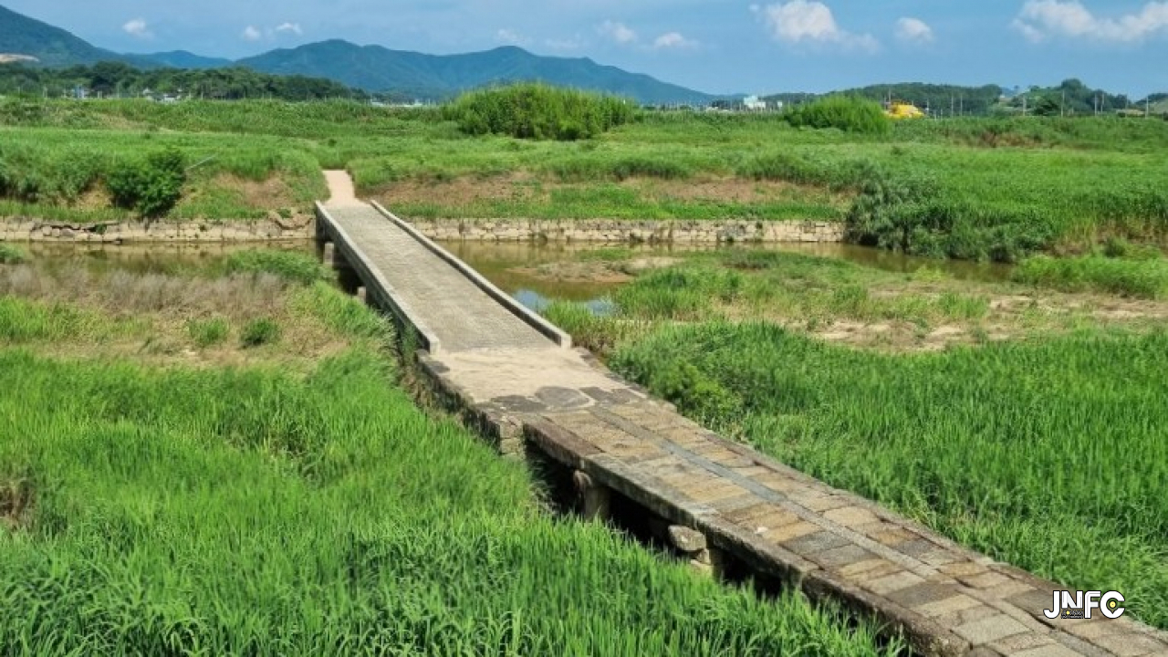함평고막천석교