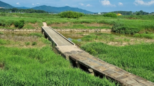 함평고막천석교