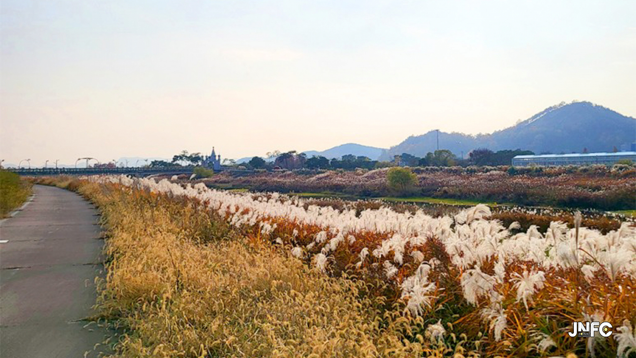 함평천수변공원