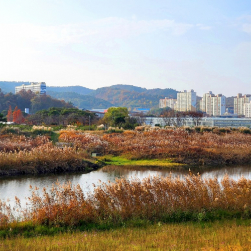 함평 함평천수변공원