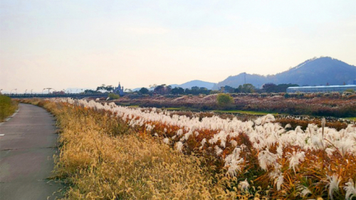 함평천수변공원