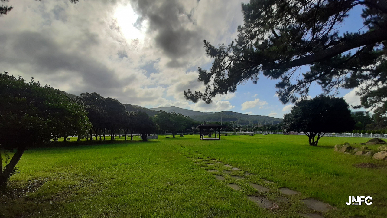 jnfc_5773_131680.jpg