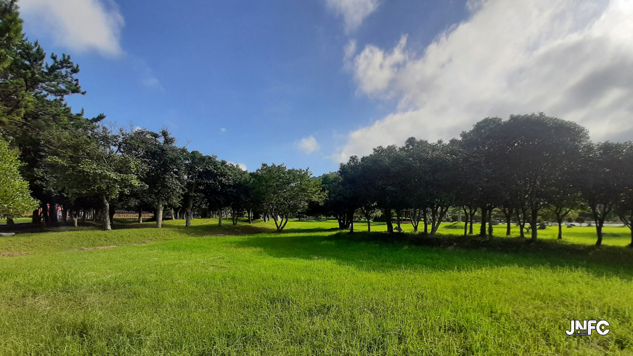 jnfc_5773_131687.jpg