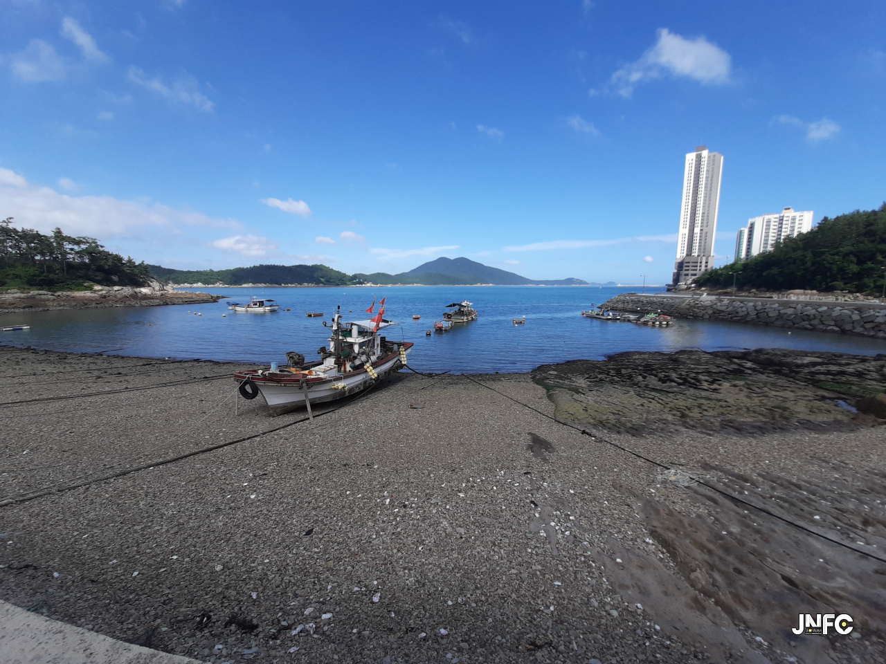 jnfc_5774_131773.jpg