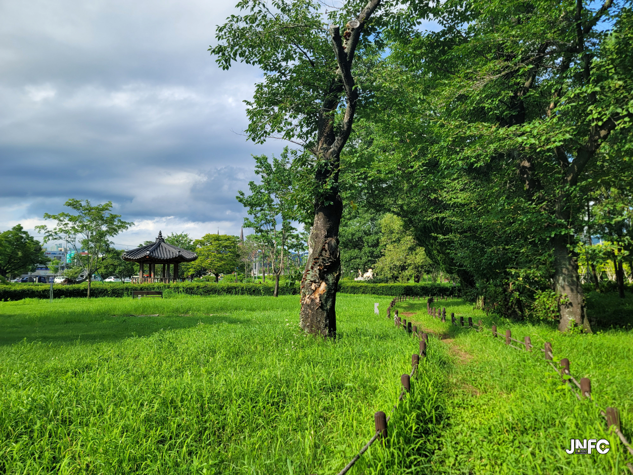 jnfc_5777_130342.jpg