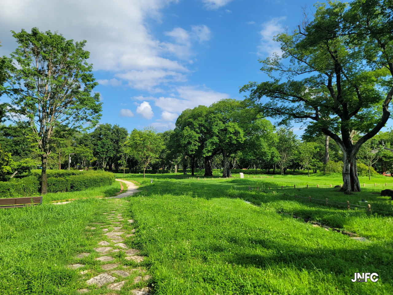 jnfc_5777_130346.jpg