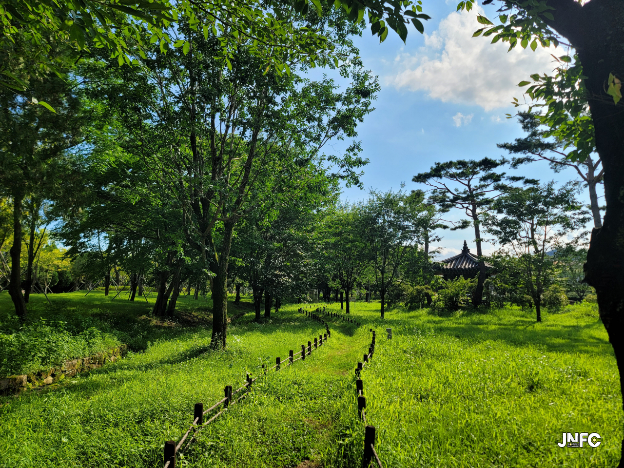 jnfc_5777_130349.jpg