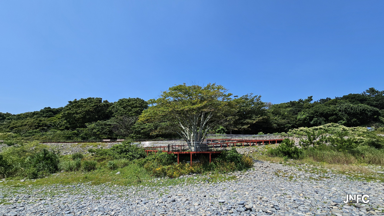 jnfc_5783_131659.jpg