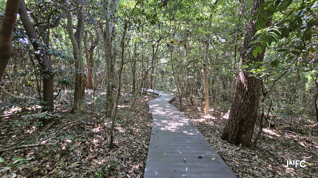 jnfc_5783_131668.jpg