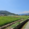 jnfc_5786_113485.jpg