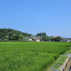 jnfc_5786_113497.jpg