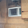 jnfc_5791_113614.jpg