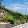 jnfc_5791_113618.jpg