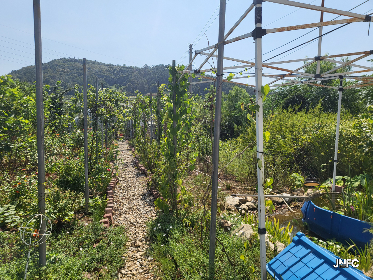 jnfc_5793_127948.jpg