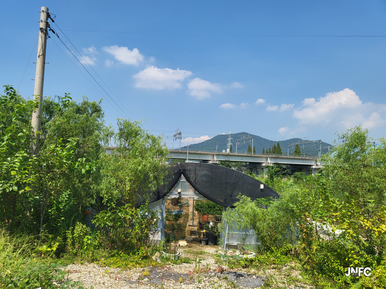 jnfc_5793_127950.jpg