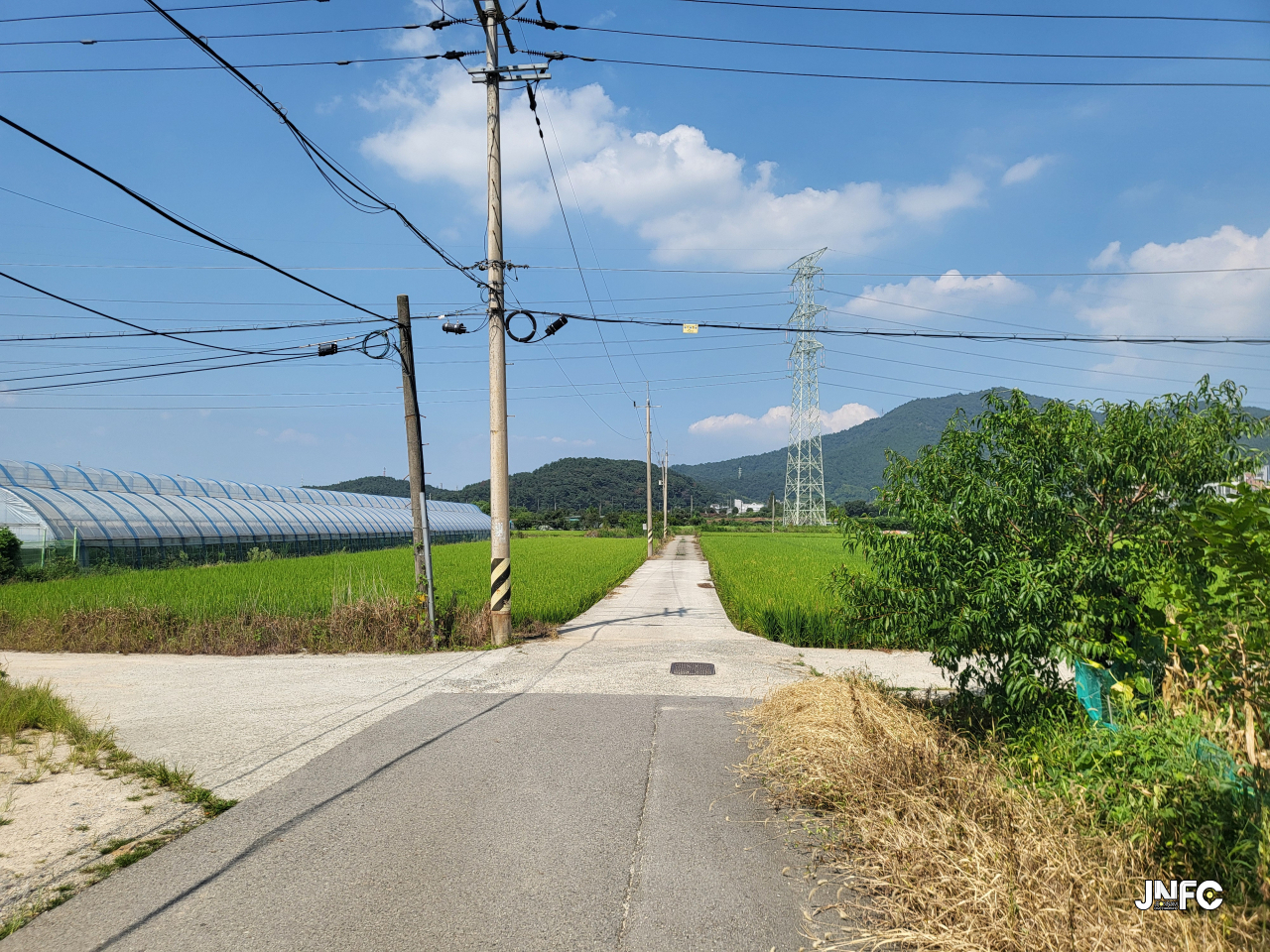 jnfc_5793_127952.jpg