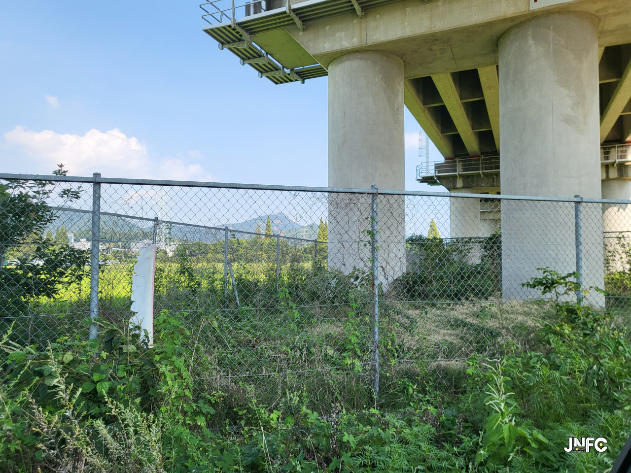 jnfc_5793_127953.jpg