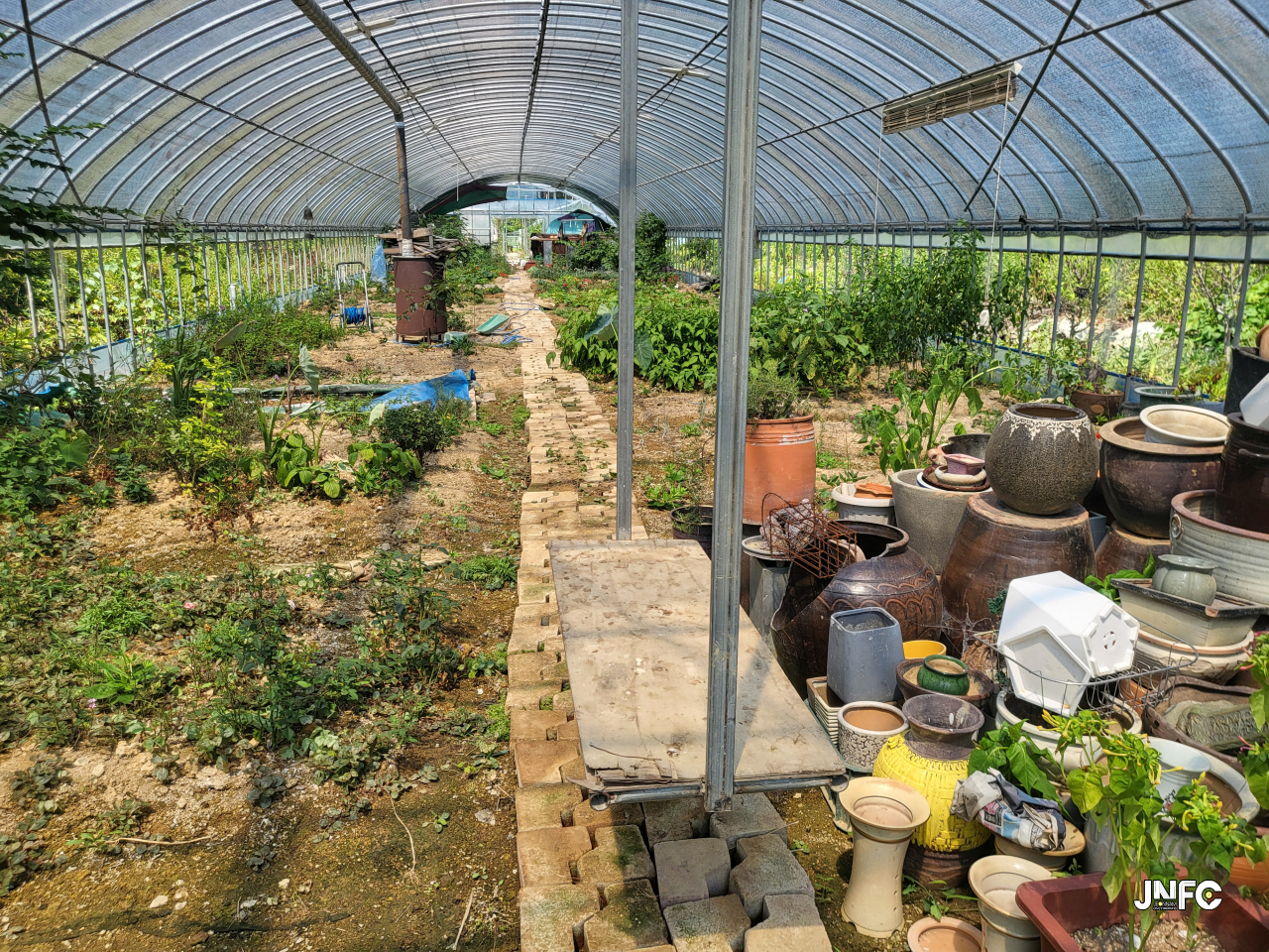 jnfc_5793_127954.jpg