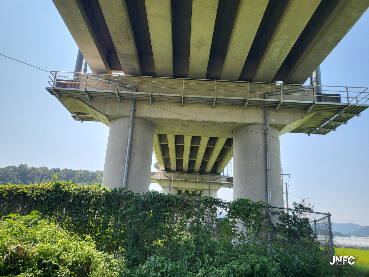jnfc_5793_127958.jpg