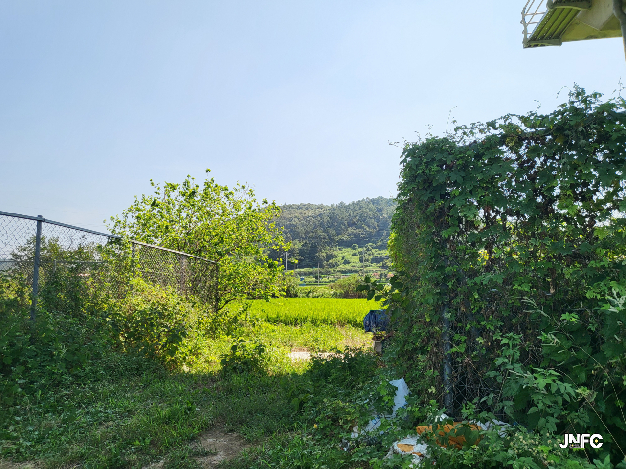 jnfc_5793_127960.jpg