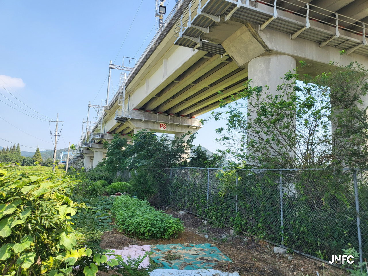 jnfc_5793_127963.jpg