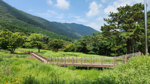 화순 만연산지구산림공원