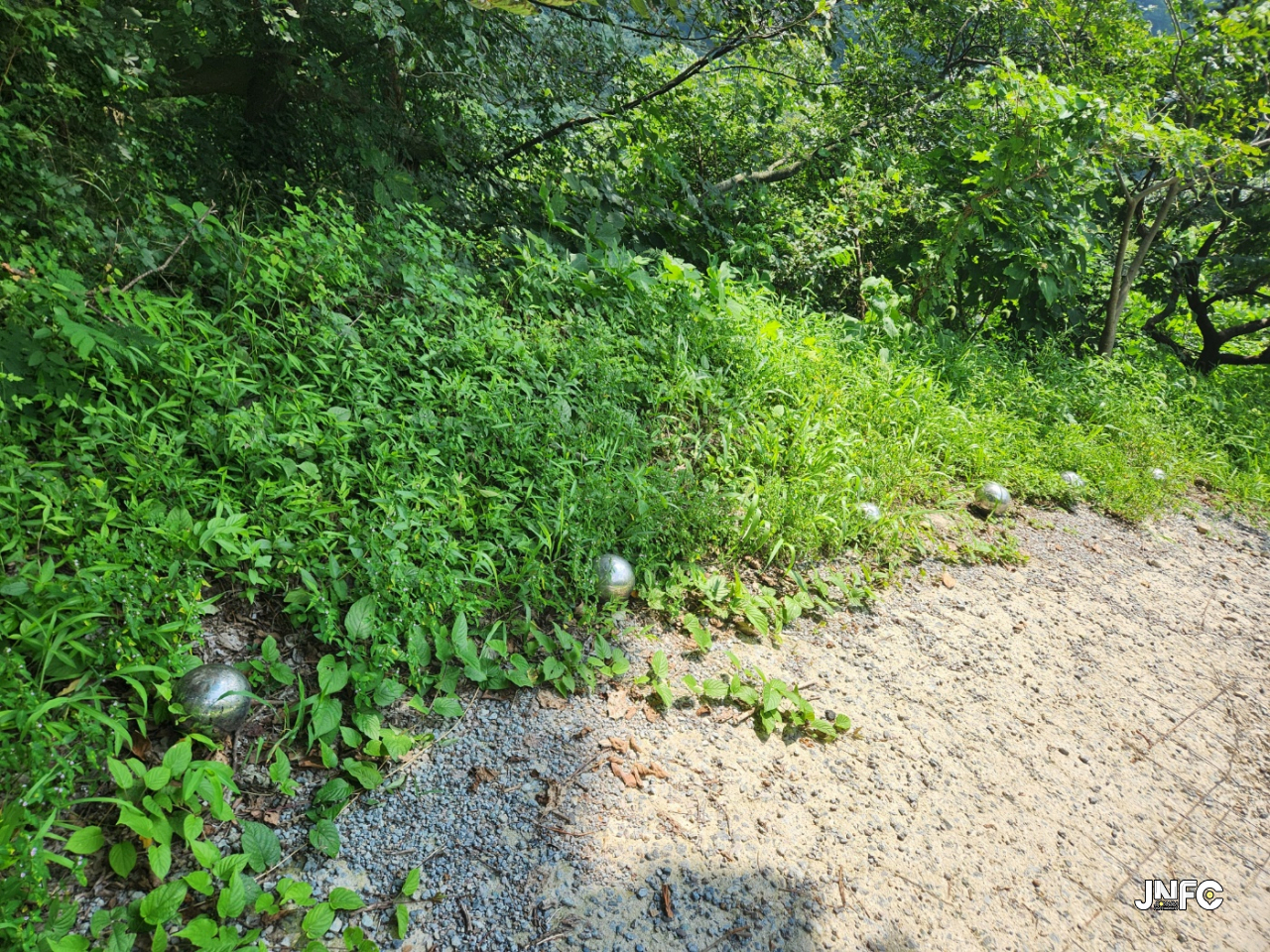 jnfc_5804_113850.jpg