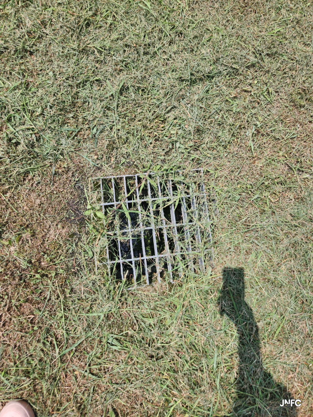 jnfc_5804_113858.jpg