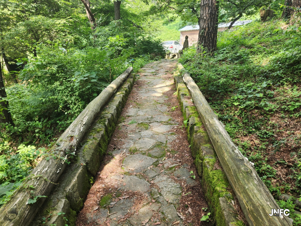 jnfc_5804_113860.jpg