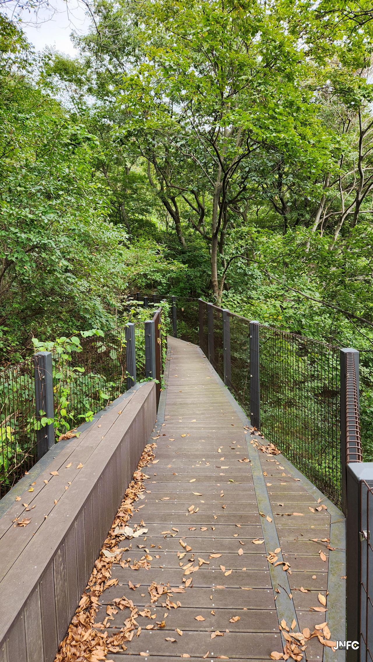 jnfc_5804_125580.jpg