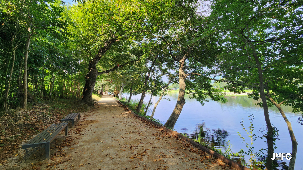 jnfc_5806_133499.jpg
