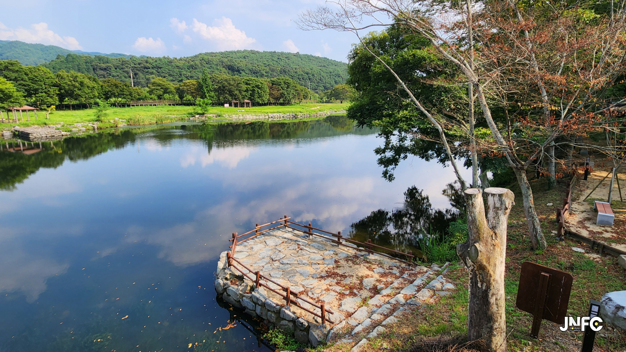 jnfc_5806_133513.jpg