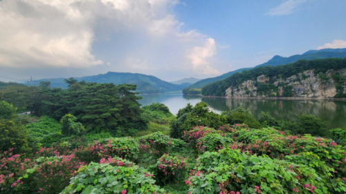 창랑적벽 전망대