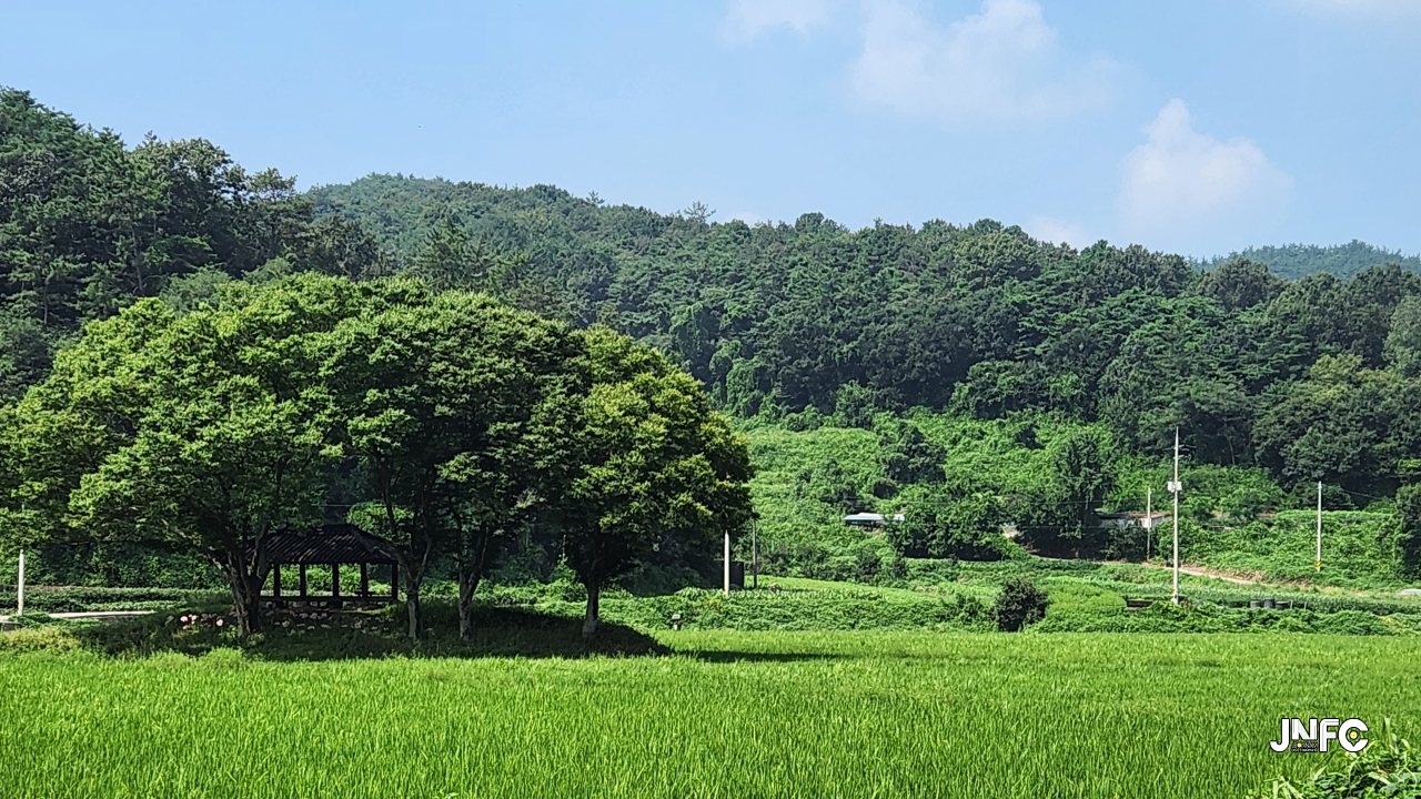 jnfc_5811_133568.jpg