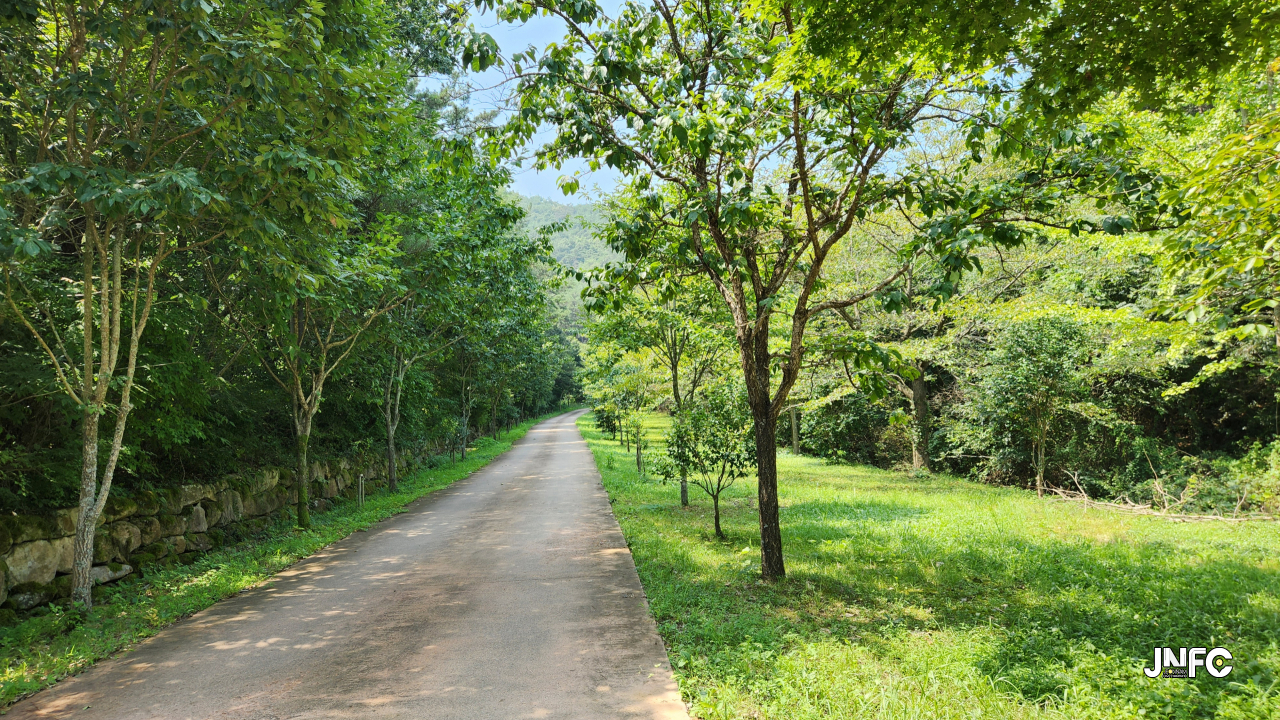 jnfc_5812_133460.jpg