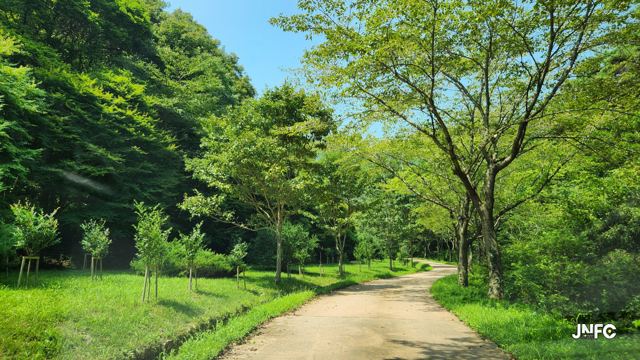 jnfc_5812_133461.jpg