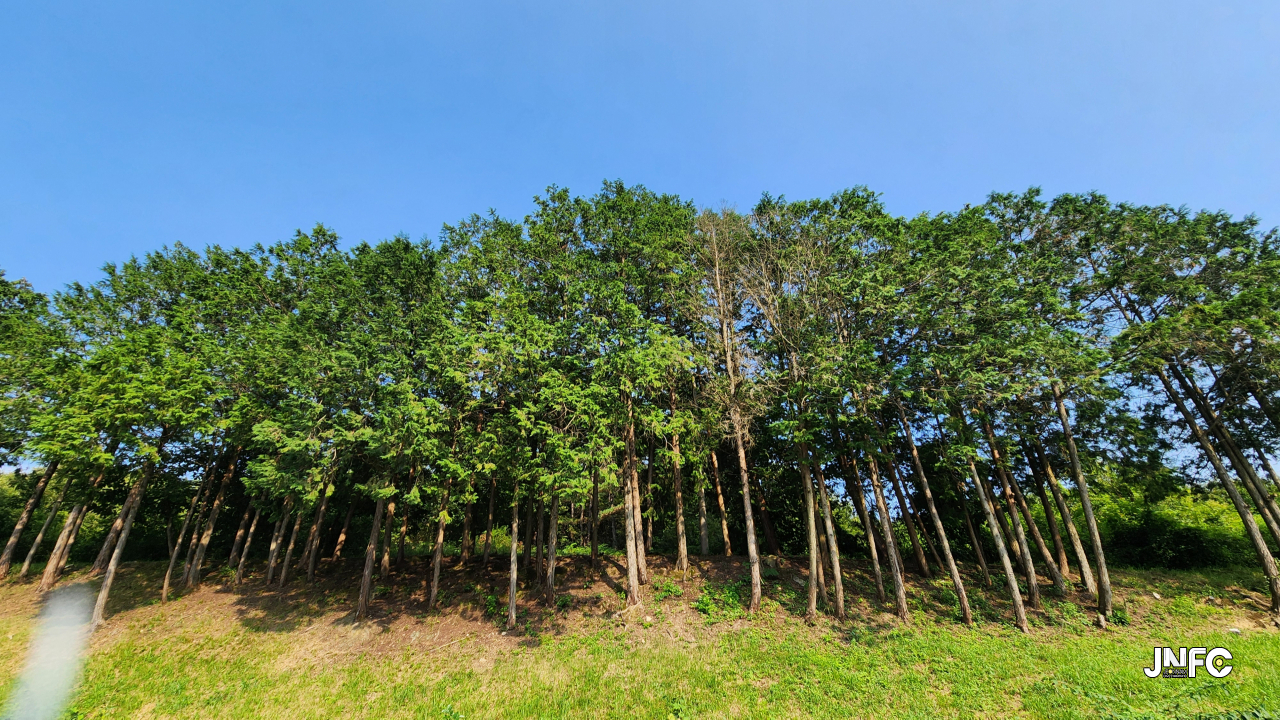 jnfc_5815_133548.jpg