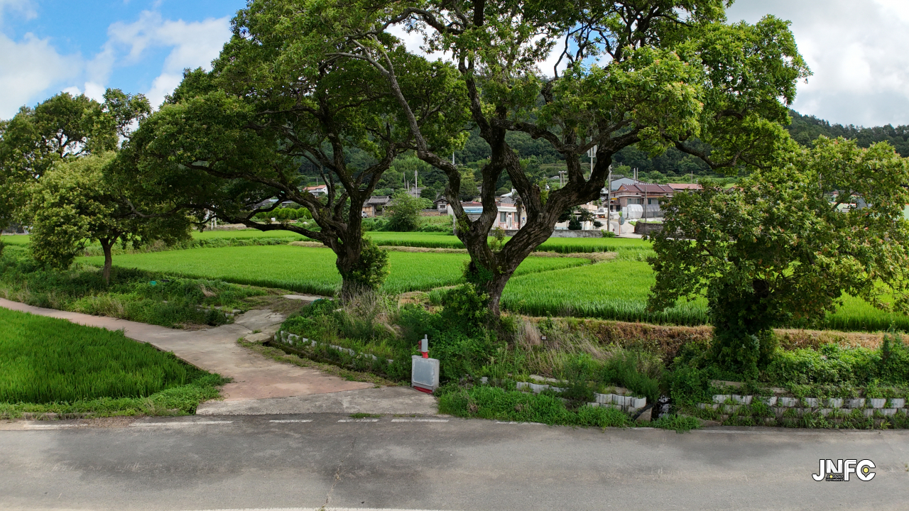 jnfc_5819_134825.jpg