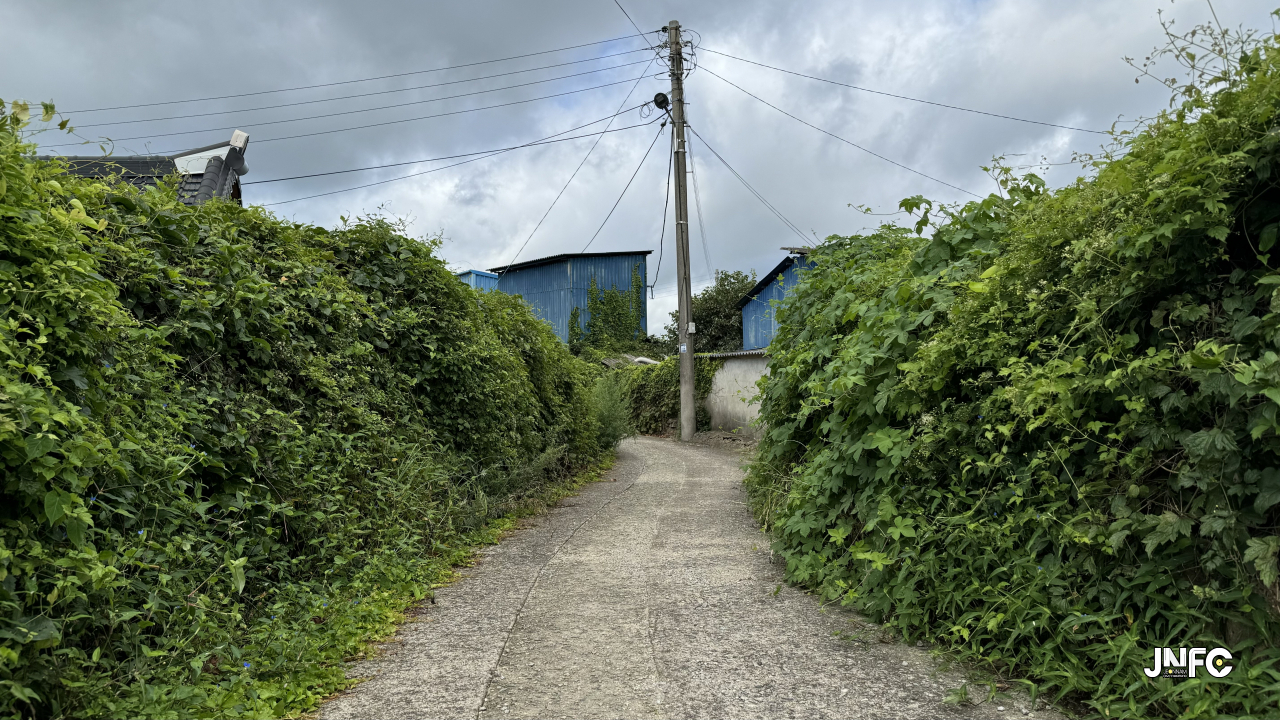 jnfc_5822_134955.jpg