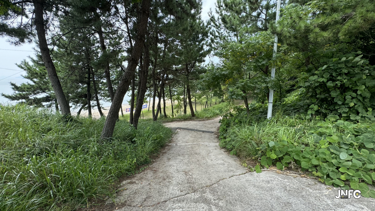 jnfc_5824_134867.jpg