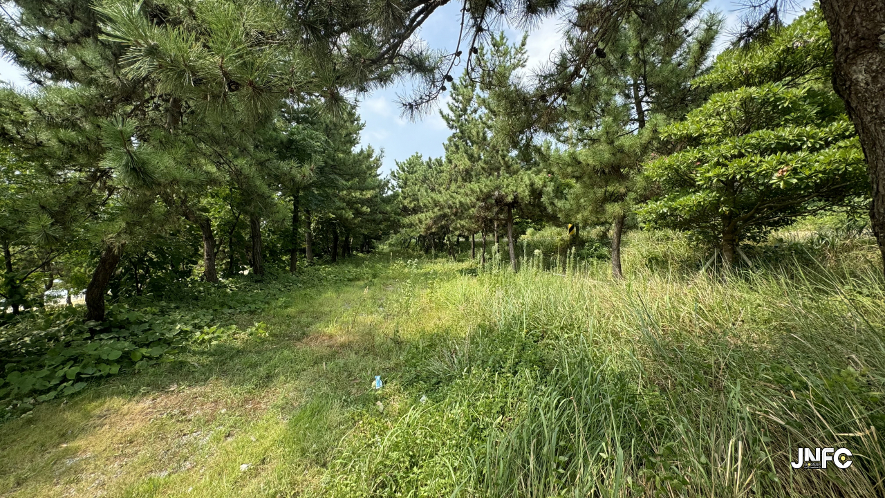 jnfc_5824_134876.jpg