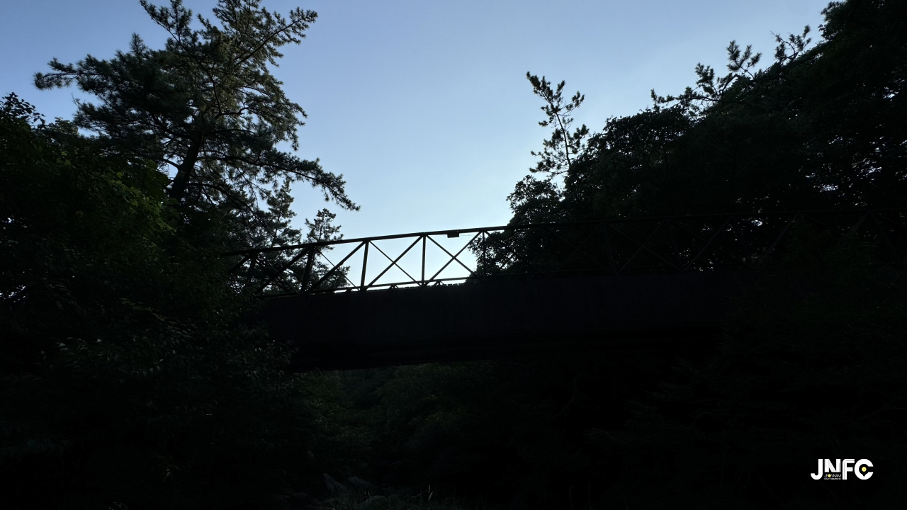 jnfc_5831_135090.jpg